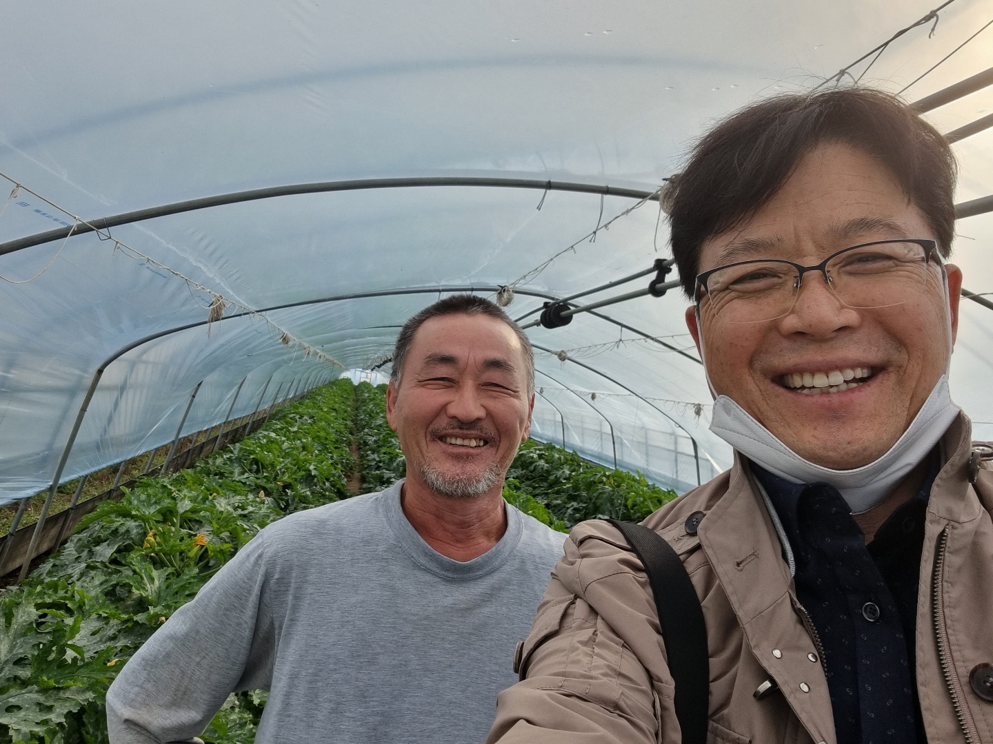 농축산방문상담(23일)-장지토마토